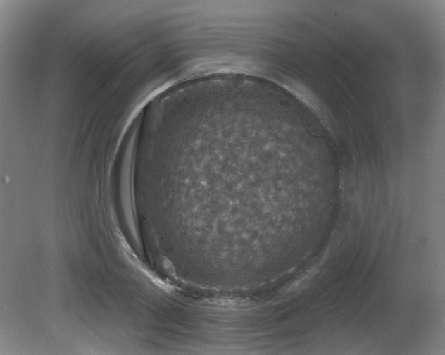 X0000081580790200701151242