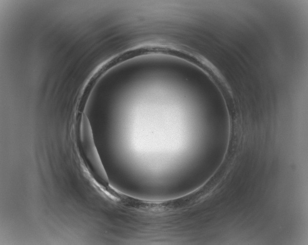 X0000081580791200701151242