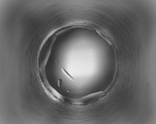 X0000081580792200701151242