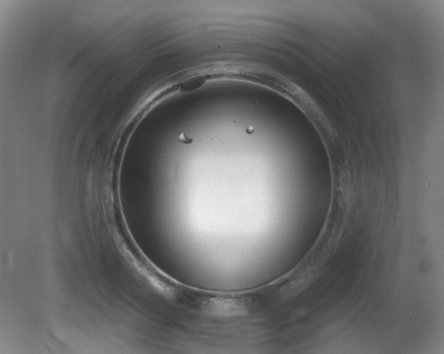 X0000081580794200701151242