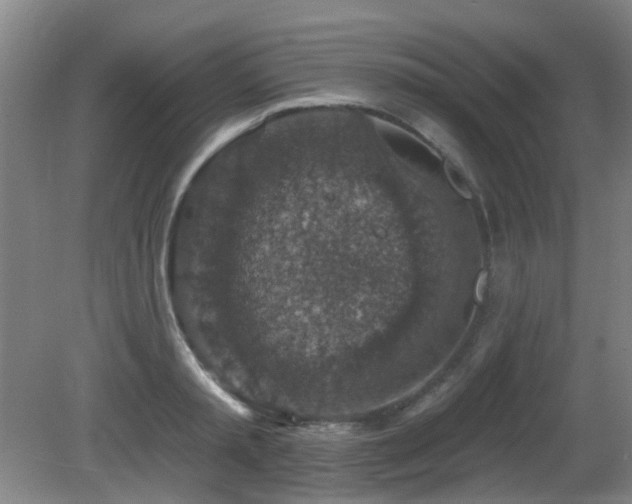 X0000081580797200701151241