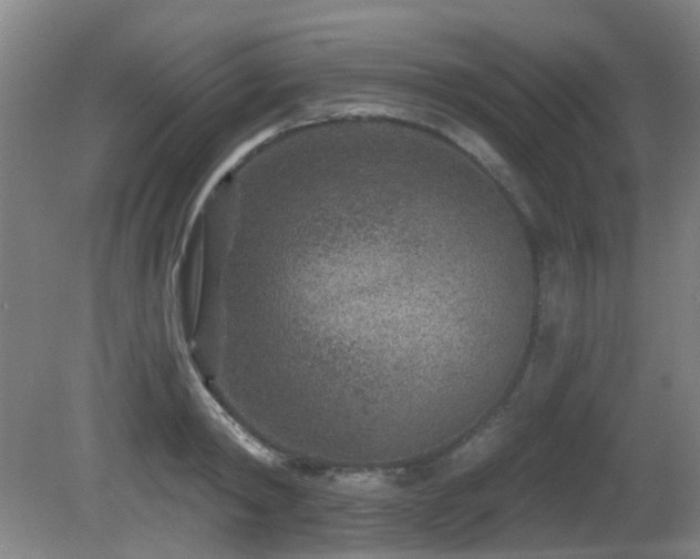 X0000081580798200701151241