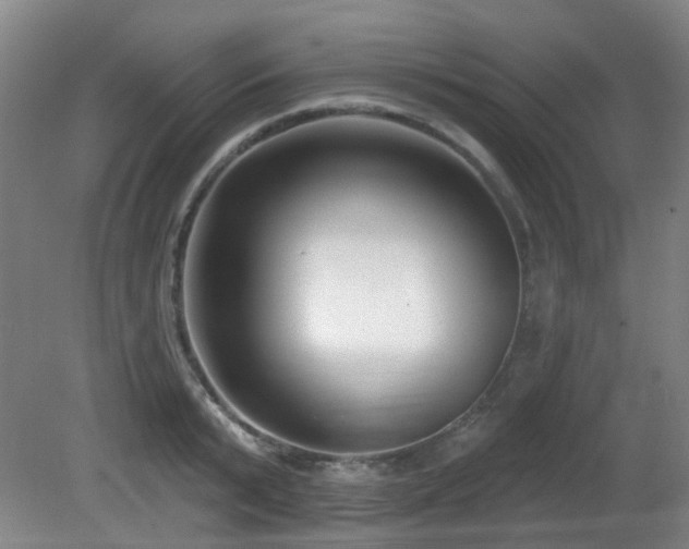 X0000081580799200701151241