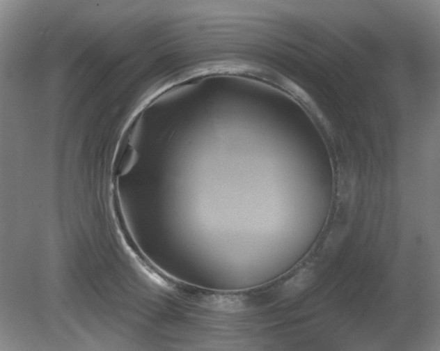 X0000081580802200701151241