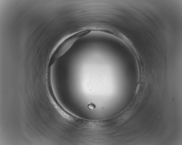 X0000081580803200701151241