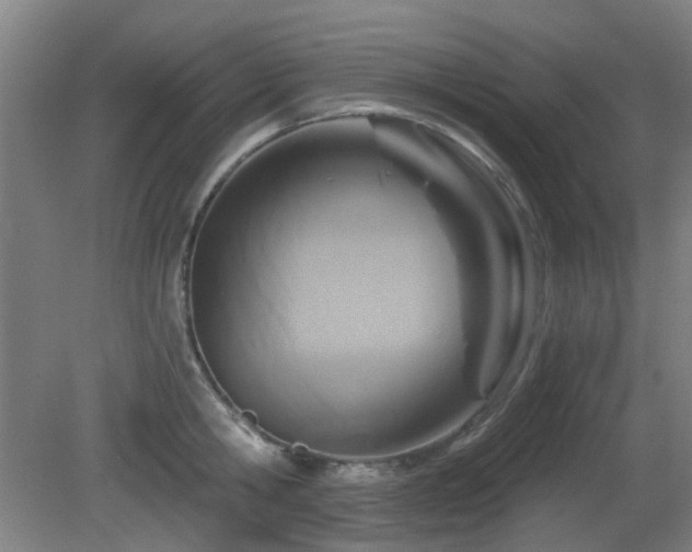 X0000081580806200701151241