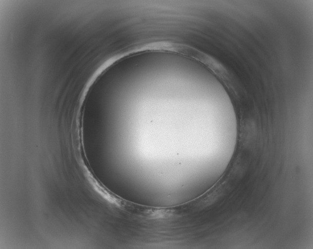 X0000081580808200701151241