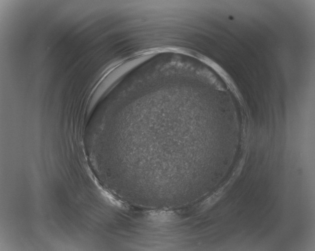 X0000081580809200701151241