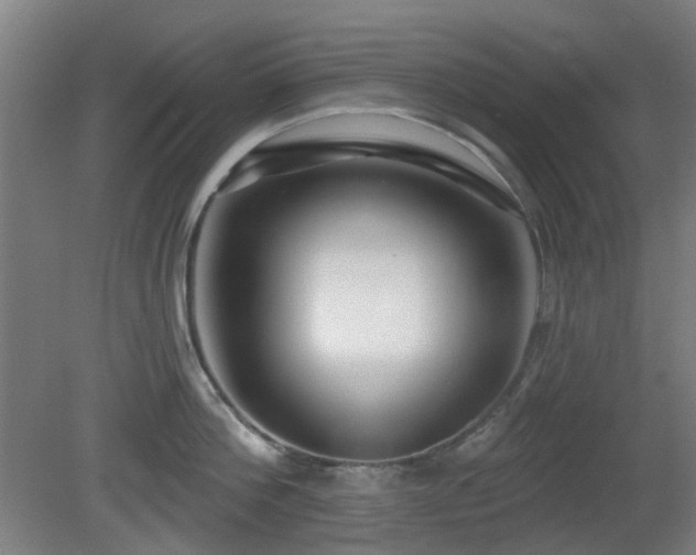 X0000081580812200701151241