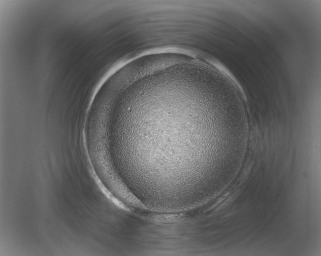 X0000081580813200701151241