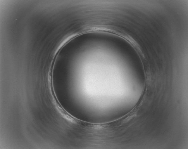 X0000081580814200701151241