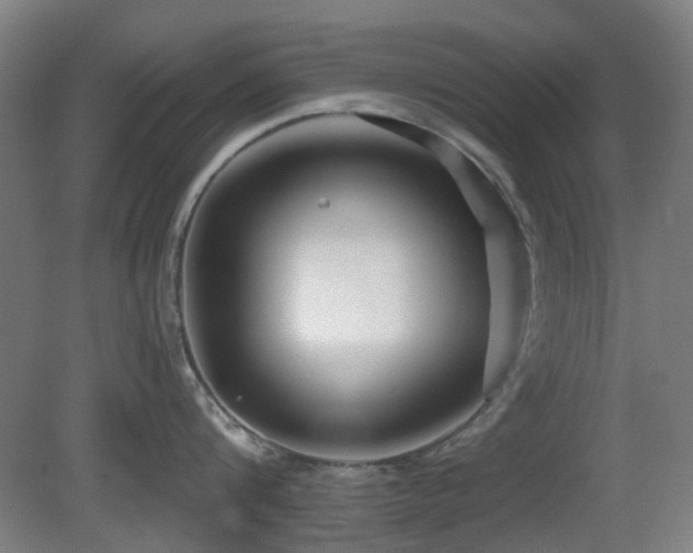 X0000081580816200701151241