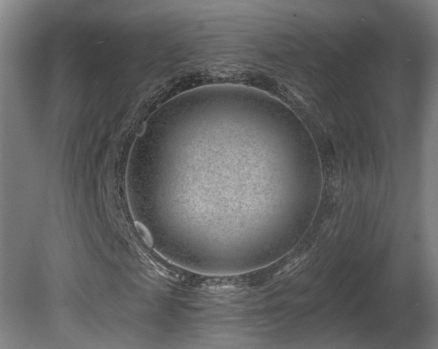 X0000081580817200701151240