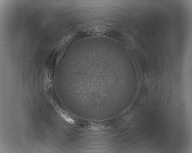 X0000081580818200701151240