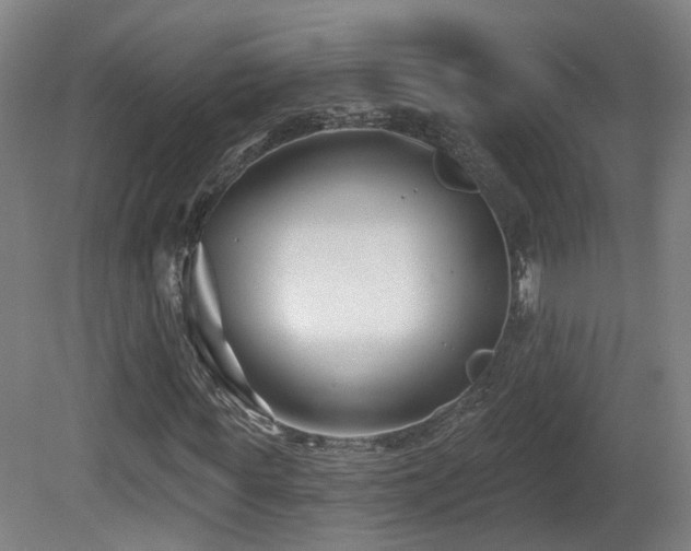 X0000081580819200701151240