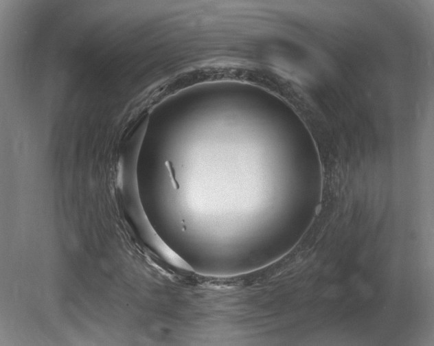 X0000081580821200701151240