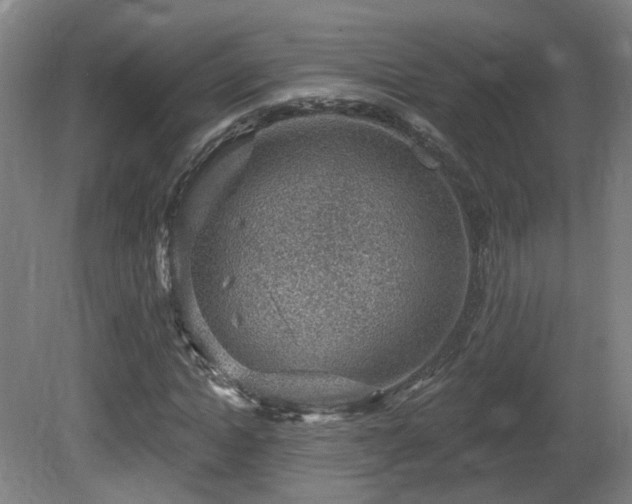 X0000081580822200701151240