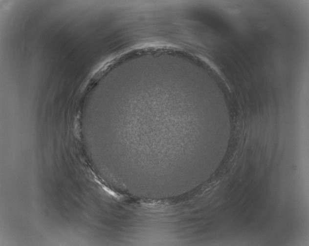 X0000081580823200701151240