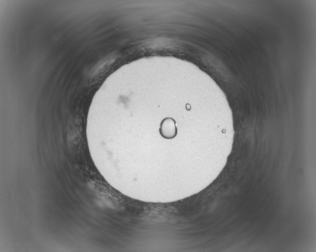 X0000081580824200701151240