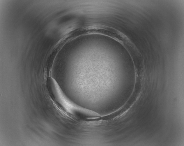 X0000081580825200701151240