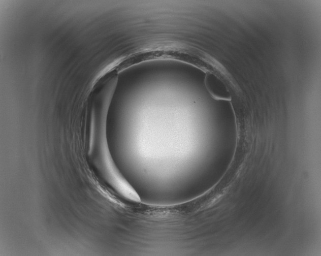 X0000081580826200701151240