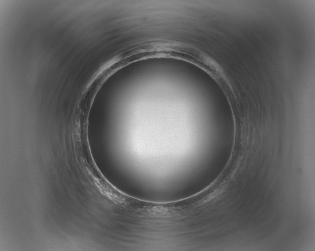 X0000081580827200701151240