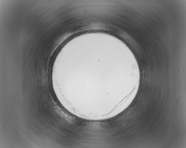 X0000081580828200701151240