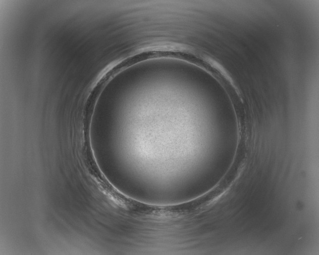 X0000081580829200701151241