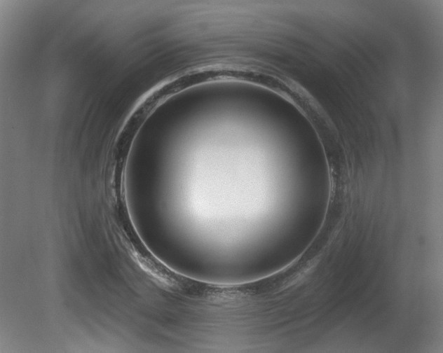 X0000081580830200701151241