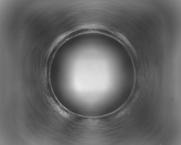 X0000081580831200701151241