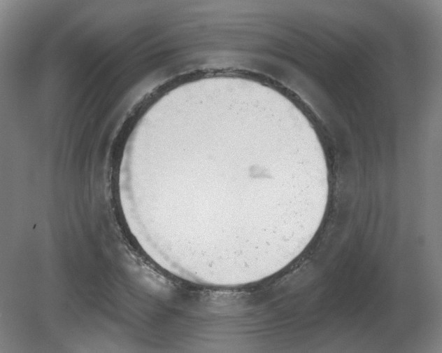 X0000081580832200701151241