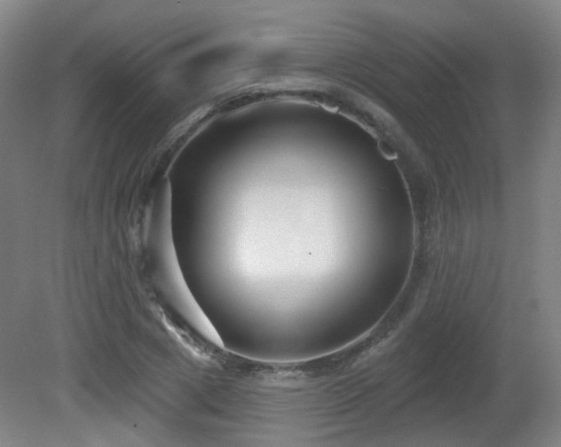 X0000081580833200701151241