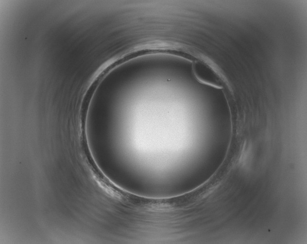 X0000081580837200701151241