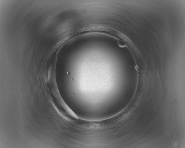 X0000081580841200701151241