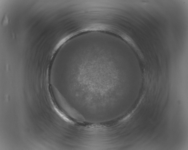 X0000081580842200701151241