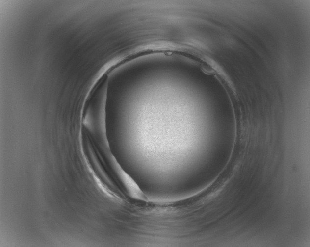 X0000081580845200701151241