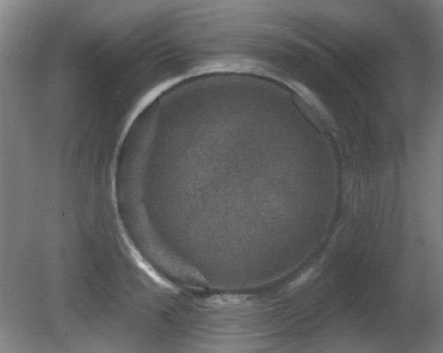 X0000081580846200701151241