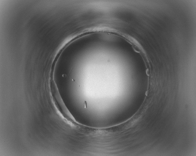 X0000081580847200701151241