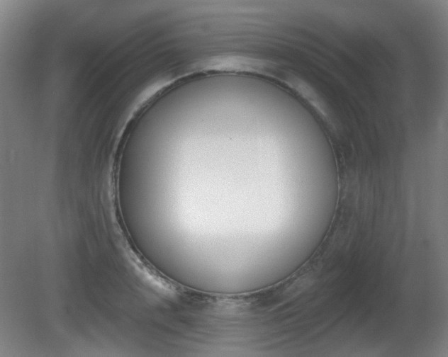 X0000081580848200701151241