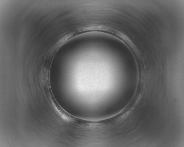 X0000081580849200701151241