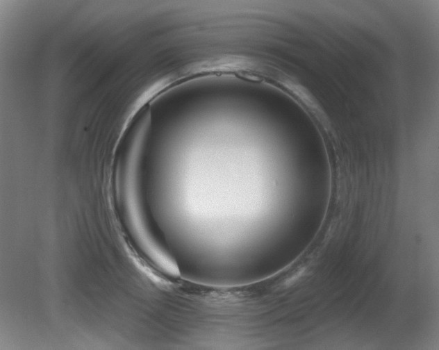 X0000081580850200701151241