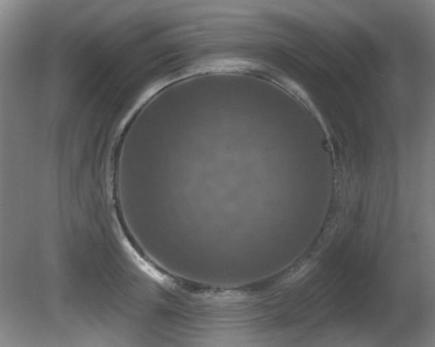 X0000081580851200701151241