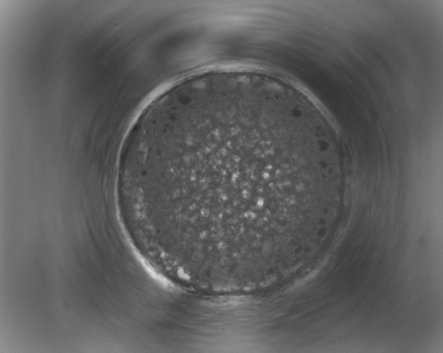 X0000081580853200701151241