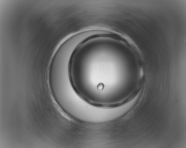 X0000081580854200701151241