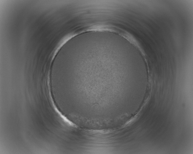 X0000081580855200701151241