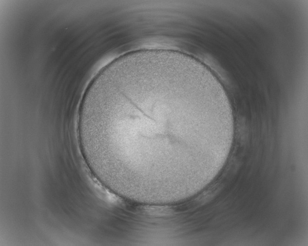 X0000081580856200701151241