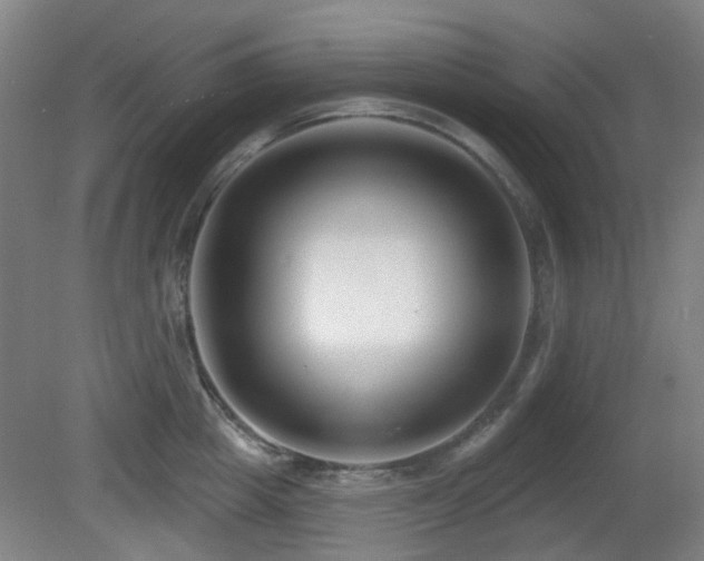 X0000081580857200701151241