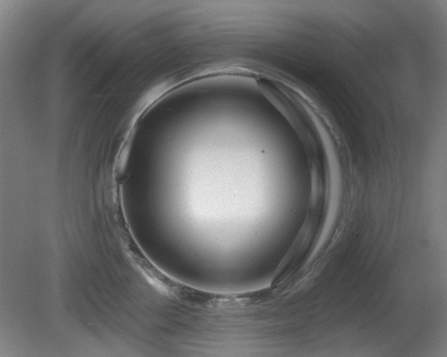 X0000081580858200701151241