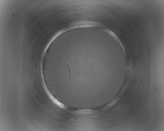 X0000081580859200701151241