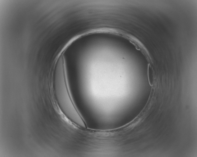 X0000081580860200701151241